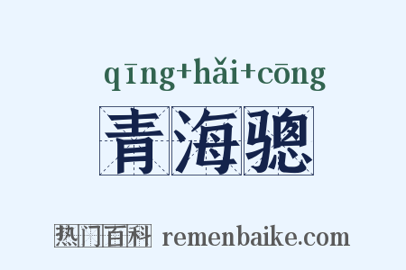 青海骢是什么意思的图片